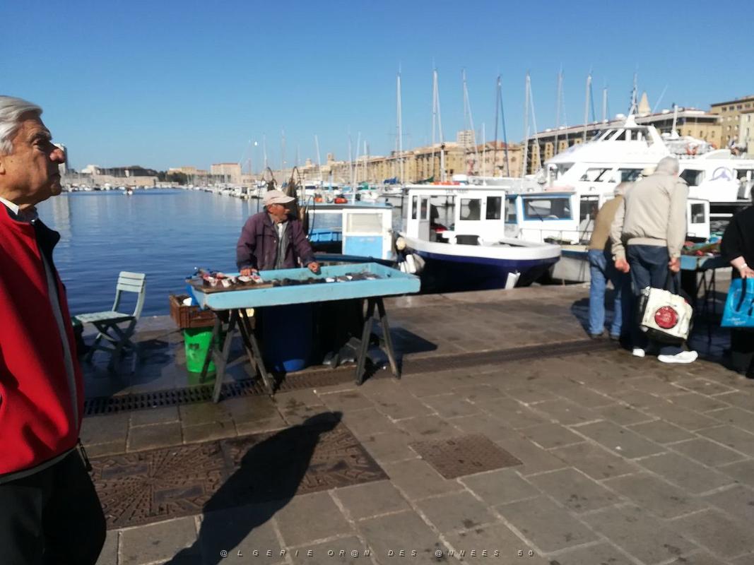 008- Marseille Vieux-Port.jpg - dav
